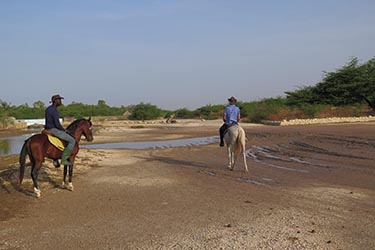 Randonnée à Cheval au Sénégal - RANDO CHEVAL