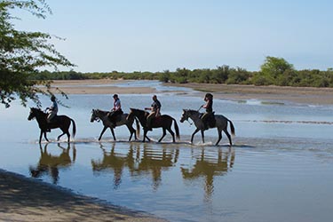 Randonnée à Cheval au Sénégal - RANDO CHEVAL