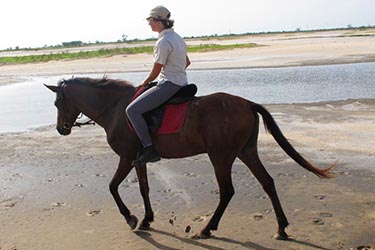 SENEGAL - Randonnée équestre, voyage à cheval dans le Delta du Saloum -  Rando Cheval