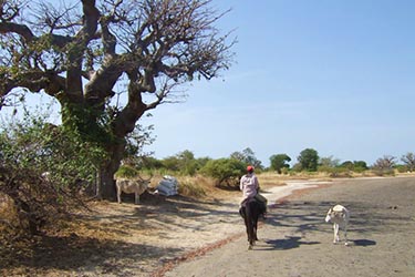 Randonnée à Cheval au Sénégal - RANDO CHEVAL