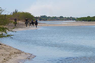 Rando Cheval - Voyage à cheval