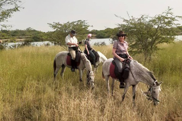 SENEGAL - Randonnée équestre, voyage à cheval dans le Delta du Saloum -  Rando Cheval