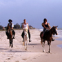 Rando Cheval - ïle de la Réunion à cheval
