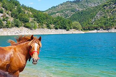 Voyage &agrave; cheval en BOSNIE - Randonn&eacute;e &eacute;questre organis&eacute;e par Randocheval