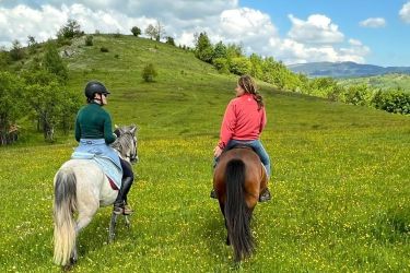 Voyage &agrave; cheval en BOSNIE - Randonn&eacute;e &eacute;questre organis&eacute;e par Randocheval