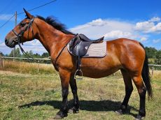Ce safari combin&eacute; Waterberg / Limpopo est destin&eacute; aux cavaliers exp&eacute;riment&eacute;s - Randocheval / Absolu Voyages