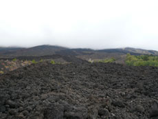 Tour de l'Etna à cheval - Sicile - RANDOCHEVAL