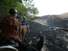 Tour de l'Etna à cheval - Sicile - RANDOCHEVAL