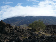 Tour de l'Etna à cheval - Sicile - RANDOCHEVAL