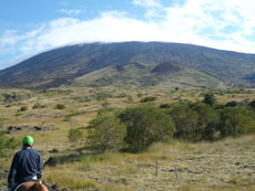 Tour de l'Etna à cheval - Sicile - RANDOCHEVAL