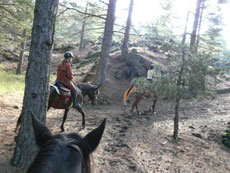 Tour de l'Etna à cheval - Sicile - RANDOCHEVAL