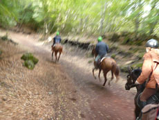 Tour de l'Etna à cheval - Sicile - RANDOCHEVAL