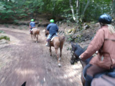 Tour de l'Etna à cheval - Sicile - RANDOCHEVAL