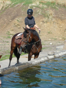 Tour de l'Etna à cheval - Sicile - RANDOCHEVAL