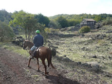 Tour de l'Etna à cheval - Sicile - RANDOCHEVAL