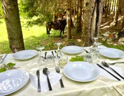 chambre bosnie - randocheval - absolu voyages -