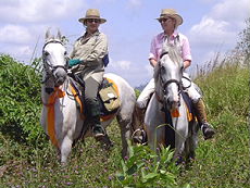 randonnée équestre au Sri Lanka (l'ancien ceylan) sur chevaux marwari - randocheval / absolu voyages