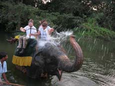 Safari à dos d'éléphant au Sri Lanka - Randocheval / Absolu Voyages