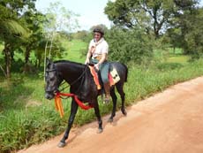 A cheval sur un Marwari, randonnée dans les rizières de Ceylan - Randocheval