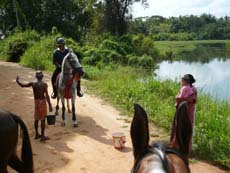 Rencontre avec la population locale lors de notre voyage à cheval au Sri Lanka - Randocheval