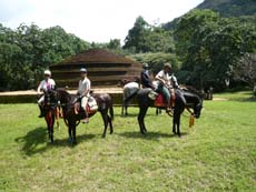 Monastère du 5ème siècle dans la jungle près de Sigiriya - Randocheval