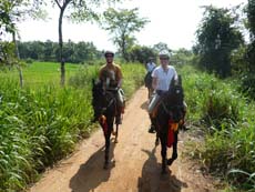 Randonnée équestre au Sri Lanka, dans les rizières du Triangle Culturel - Rando Cheval