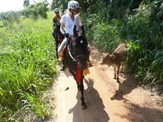 Voyage à cheval au Sri Lanka - Randocheval