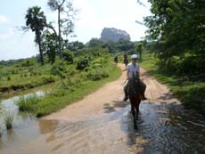 Approche du rocher de Sigiriya lors de notre randonnée équestre au Sri Lanka - Randocheval