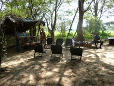 Pause pique-nique lors de nos randonnées équestres au Sri Lanka - Randocheval