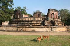 Polonnaruwa, ancienne capitale du royaume cingalais au Sri Lanka - Randocheval