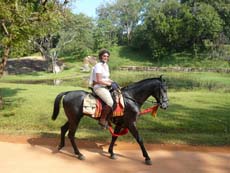 A cheval sur le site de Sigiriya au Sri Lanka - Randocheval