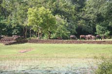 Jardins de Sigiriya - Sri Lanka