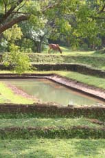 Jardins de Sigiriya - Sri Lanka