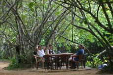 Pause sous les arbres - Album photos de notre voyage au Sri Lanka