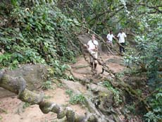 Jenny dans les lianes en pleine jungle au Sri Lanka