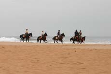 Galoper sur les plages de l'Océan Indien - Randonnée à cheval au Sri Lanka
