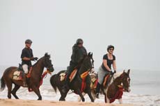 Galops sur les plages de l'Océan Indien au Sri Lanka