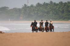 Randonnée équestre sur les plages du Sri Lanka