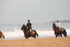 Album photo de notre voyage à cheval au Sri Lanka