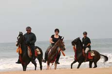Grands galops dans les vagues de l'Océan Indien - Randonnée à cheval au Sri Lanka