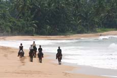 Galop à cheval sur les plages de l'Océan Indien - Voyage au Sri Lanka