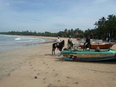 Randonnée équestre au Sri Lanka