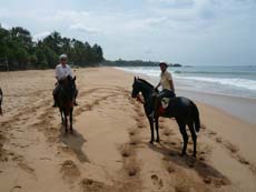 Randonnée équestre sur la plage au Sri Lanka - Rando cheval