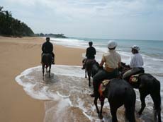 Randonnée à cheval sur les plages de l'Océan Indien au Sri Lanka