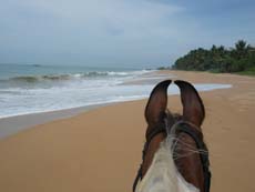 Voyage à cheval sur les plages de l'Océan Indien au Sri Lanka - Rando Cheval