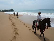 Randonnée équestre sur les plages de l'Océan Indien au Sri Lanka