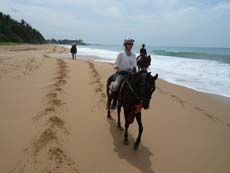 Randonnée équestre sur les plages du Sri Lanka