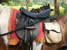 Sellerie utilisée lors de notre voyage à cheval au Sri Lanka - Randocheval
