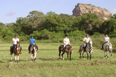 Voyage à cheval - Randonnée équestre au Sri Lanka avec Randocheval