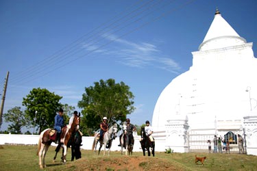 Voyage à cheval - Randonnée équestre au Sri Lanka avec Randocheval